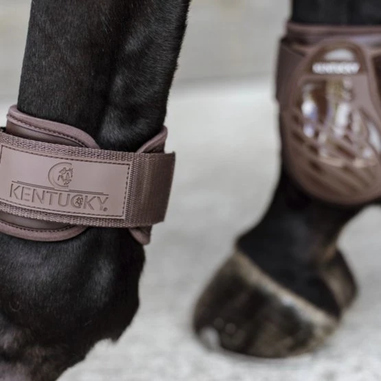 Kentucky Horsewear Streichkappen Young Horse Dunkel Grün 15 Kentucky Horsewear Streichkappen Young Horse Dunkel Grün – Bild 13