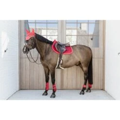 Kentucky Horsewear Kentucky Sehnenschutz Bamboo Elastic Velvet Rot -Waldhausen Verkaufe kentucky 179a3312.838920