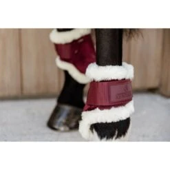 Kentucky Horsewear Kentucky Kugelschützer Young Horse Velvet Vegan Bunt Bordeaux -Waldhausen Verkaufe kentucky 179a3978.96fa48