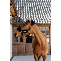 Kentucky Horsewear Halfter Nylonwolle Weich Naturell -Waldhausen Verkaufe kentucky 179a4050.a27b2a