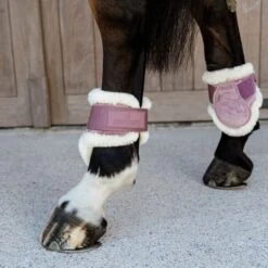 Kentucky Horsewear Kentucky Kugelschützer Young Horse Velvet Vegan Bunt Bordeaux -Waldhausen Verkaufe kentucky 179a4128.5aa922