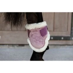 Kentucky Horsewear Kentucky Kugelschützer Young Horse Velvet Vegan Bunt Bordeaux -Waldhausen Verkaufe kentucky 179a4134.8633ab