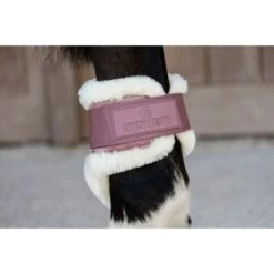 Kentucky Horsewear Kentucky Kugelschützer Young Horse Velvet Vegan Bunt Bordeaux -Waldhausen Verkaufe kentucky 179a4138.e37fbd
