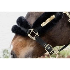 Kentucky Horsewear Halfter Nylonwolle Weich Naturell -Waldhausen Verkaufe kentucky 179a4232.c639b5