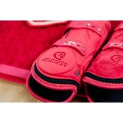 Kentucky Horsewear Kentucky Sehnenschutz Bamboo Elastic Velvet Rot -Waldhausen Verkaufe kentucky 179a4602.02b884