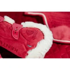 Kentucky Horsewear Kentucky Sehnenschutz Bamboo Elastic Velvet Vegan Bunt Rot -Waldhausen Verkaufe kentucky 179a4638.86d6ef