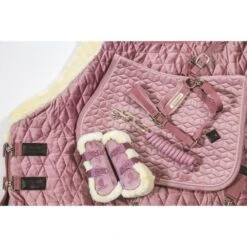 Kentucky Horsewear Kentucky Kugelschützer Young Horse Velvet Vegan Bunt Bordeaux -Waldhausen Verkaufe kentucky 179a4722.96c893 2