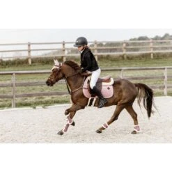 Kentucky Horsewear Kentucky Gamaschen Bamboo Elastic Vegan Sheepskin Schwarz -Waldhausen Verkaufe kentucky 179a5257.1db6a4