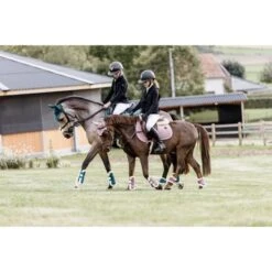 Kentucky Horsewear Kentucky Gamaschen Bamboo Elastic Vegan Sheepskin Schwarz -Waldhausen Verkaufe kentucky 179a5531.988564