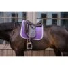 Kentucky Horsewear Kentucky Dressur Satteldecke Classic Konstrast Violett Warmblut 1 Kentucky Horsewear Kentucky Dressur Satteldecke Classic Konstrast Violett Warmblut -Waldhausen Verkaufe kentucky 221013 15.b9f252