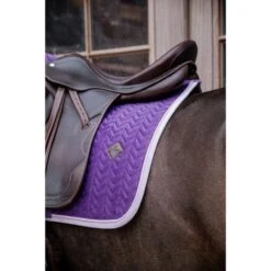 Kentucky Horsewear Kentucky Dressur Satteldecke Classic Konstrast Violett Warmblut -Waldhausen Verkaufe kentucky 221013 17.213f0e