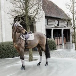 Kentucky Horsewear Kentucky Bandagen Samtvlies Navy Warmblut -Waldhausen Verkaufe kentucky 42115 32 f 4.f8a176 1