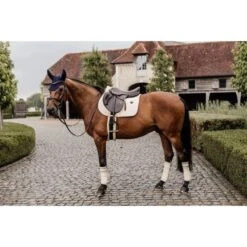 Kentucky Horsewear Kentucky Schabracke Wolle Springen Beige -Waldhausen Verkaufe kentucky 42583 32 sj foto3.d1a0ef 3