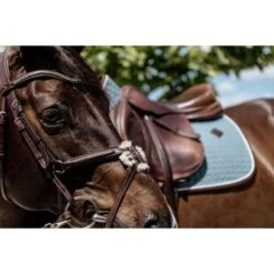 Kentucky Horsewear Kentucky Spring Satteldecke Classic Leder Orange Warmblut -Waldhausen Verkaufe kentucky 485a1301.95672d 2
