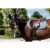 Kentucky Horsewear Kentucky Spring Satteldecke Classic Leder Dusty Blue Warmblut -Waldhausen Verkaufe kentucky 485a1305.d38aff