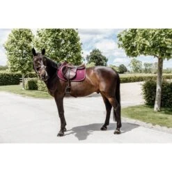 Kentucky Horsewear Kentucky Spring Satteldecke Classic Leder Dusty Green Warmblut -Waldhausen Verkaufe kentucky 485a1383.dc8e0c 3