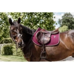 Kentucky Horsewear Kentucky Spring Satteldecke Classic Leder Orange Warmblut -Waldhausen Verkaufe kentucky 485a1384.986759 2