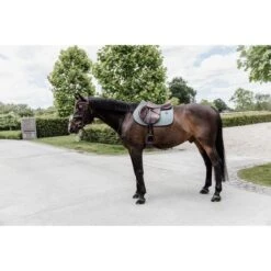 Kentucky Horsewear Kentucky Spring Satteldecke Classic Leder Dusty Blue Warmblut -Waldhausen Verkaufe kentucky 485a1438.d8a98f