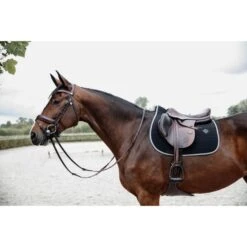 Kentucky Horsewear Kentucky Schabracke Softshell Springen Navy Warmblut -Waldhausen Verkaufe kentucky 485a2204.dceb0d 1