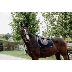 Kentucky Horsewear Kentucky Schabracke Softshell Springen Schwarz Warmblut -Waldhausen Verkaufe kentucky 485a2348.16be2f