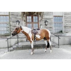 Kentucky Horsewear Kentucky Schabracke Velvet Pearls Springen Beige -Waldhausen Verkaufe kentucky 485a2419.3c622f 1
