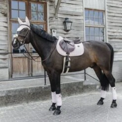 Kentucky Horsewear Kentucky Schabracke Velvet Pearls Springen Soft Rose -Waldhausen Verkaufe kentucky 485a2486 .08a7e7 1