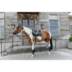 Kentucky Horsewear Kentucky Schabracke Velvet Pearls Springen Soft Rose -Waldhausen Verkaufe kentucky 485a2570.f93160 3
