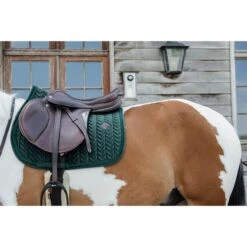 Kentucky Horsewear Kentucky Schabracke Velvet Pearls Springen Navy -Waldhausen Verkaufe kentucky 485a2608.2ddea6