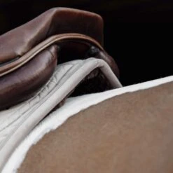 Kentucky Horsewear Kentucky Schabracke Skin Friendly Springen Navy Warmblut -Waldhausen Verkaufe kentucky 485a3422 564c22e810080218547dfa1c1093aa08 article photobook l.17d399