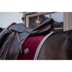 Kentucky Horsewear Kentucky Dressur Satteldecke Classic Konstrast Violett Warmblut -Waldhausen Verkaufe kentucky 485a6731.9f7153
