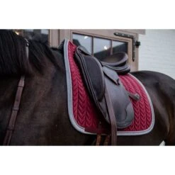 Kentucky Horsewear Kentucky Dressur Satteldecke Classic Konstrast Violett Warmblut -Waldhausen Verkaufe kentucky 485a6734.848f43
