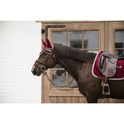 Kentucky Horsewear Kentucky Dressur Satteldecke Classic Konstrast Pine Green Warmblut -Waldhausen Verkaufe kentucky 485a6791.6b83b0 1