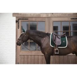 Kentucky Horsewear Kentucky Spring Satteldecke Classic Konstrast Pine Green Warmblut