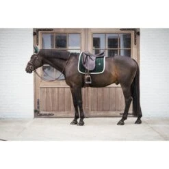 Kentucky Horsewear Kentucky Dressur Satteldecke Classic Konstrast Violett Warmblut -Waldhausen Verkaufe kentucky 485a7025.f68e87