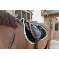 Kentucky Horsewear Kentucky Spring Satteldecke Classic Konstrast Pine Green Warmblut -Waldhausen Verkaufe kentucky 485a7445.1487f9