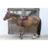 Kentucky Horsewear Kentucky Spring Satteldecke Classic Konstrast Bordeaux Warmblut -Waldhausen Verkaufe kentucky 485a7494.bce7e5 1