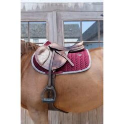 Kentucky Horsewear Kentucky Spring Satteldecke Classic Konstrast Bordeaux Warmblut -Waldhausen Verkaufe kentucky 485a7508b.87c5df 1