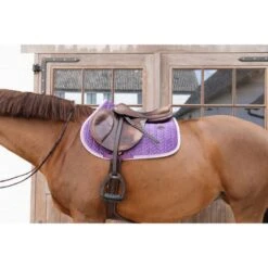Kentucky Horsewear Kentucky Spring Satteldecke Classic Konstrast Bordeaux Warmblut -Waldhausen Verkaufe kentucky 485a7592.ae4641 1