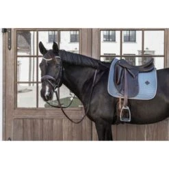 Kentucky Horsewear Kentucky Dressur Satteldecke Classic Leder Orange Warmblut -Waldhausen Verkaufe kentucky 485a7781.fd42b6 1