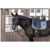 Kentucky Horsewear Kentucky Dressur Satteldecke Classic Leder Dusty Blue Warmblut -Waldhausen Verkaufe kentucky 485a7781.fd42b6