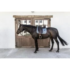 Kentucky Horsewear Kentucky Dressur Satteldecke Classic Leder Dusty Blue Warmblut -Waldhausen Verkaufe kentucky 485a7787.33dbcd