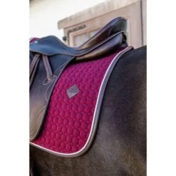 Kentucky Horsewear Kentucky Dressur Satteldecke Classic Leder Dusty Blue Warmblut -Waldhausen Verkaufe kentucky 485a7924.c261d1 1