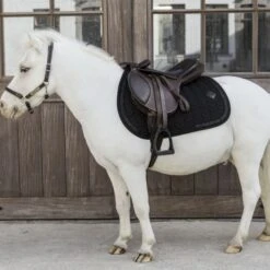 Kentucky Horsewear Kentucky Schabracke Glitter Stone Springen Navy Pony -Waldhausen Verkaufe kentucky 485a8019 e8502ded370e565d04389cf2c54c4715 article photobook crop.c89a9f