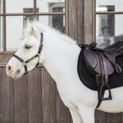 Kentucky Horsewear Kentucky Schabracke Glitter Stone Springen Navy Pony -Waldhausen Verkaufe kentucky 485a8023 e8502ded370e565d04389cf2c54c4715 article photobook crop.68984c