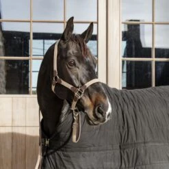 Kentucky Horsewear Kentucky Halfter Plaited Nylon Grau 25 Kentucky Horsewear Kentucky Halfter Plaited Nylon Grau -Waldhausen Verkaufe kentucky 485a8964 e8502ded370e565d04389cf2c54c4715 article photobook crop.137723