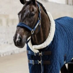 Kentucky Horsewear Kentucky Halfter Velvet Altrosa -Waldhausen Verkaufe kentucky 5n1a2571 a929523.2c3b49 1