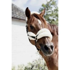 Kentucky Horsewear Halfter Nylonwolle Weich Naturell -Waldhausen Verkaufe kentucky 64d1d4ba13c94 488c0c611e420abf5edd0688df5e31cf4f395583 179a4993.5bb045