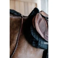 Kentucky Horsewear Kentucky Springdecke Hunter Wool Naturell Warmblut -Waldhausen Verkaufe kentucky 6538ac4a7033d 4b917a2f0c245251a64874c50317fb8cca9622b6 179a7788.51f66a