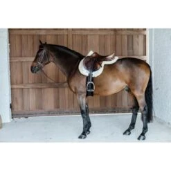 Kentucky Horsewear Kentucky Springdecke Hunter Wool Schwarz Warmblut -Waldhausen Verkaufe kentucky 6538ac4b348ad 6a32b42d3e6fcdf250cdc71588921cc241e0040d 179a7861.cc5d85 1