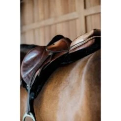 Kentucky Horsewear Kentucky Springdecke Hunter Wool Schwarz Warmblut -Waldhausen Verkaufe kentucky 6538ac4b393ae e04464e2305284e70894a05c6111f0266fcdb6c4 179a7790.b81134 1